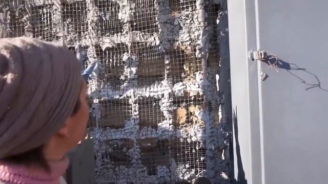 как можно отремонтировать оконные проёмы в старом доме. декоративная штукатурка . смотреть онлайн