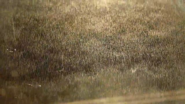 final cloud chamber 1 смотреть онлайн
