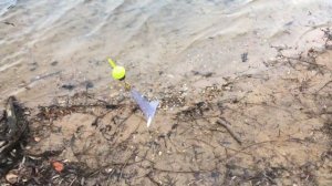 Бесплатная рыбалка в Подмосковье на Можайском водохранилище. Тестируем снасть с aliexpress