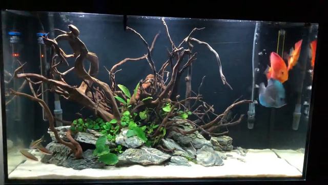 Aquael Glossy 100