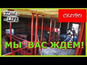 КАНАЛ СВИНЬИ КАК БИЗНЕС СКОРО ВЕРНЕТСЯ