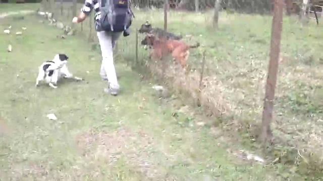 Рыбалка 11. Ловим форель и чернопуза. Сочи. Fishing. Angling. Отдых. Зимняя рыбалка смотреть онлайн