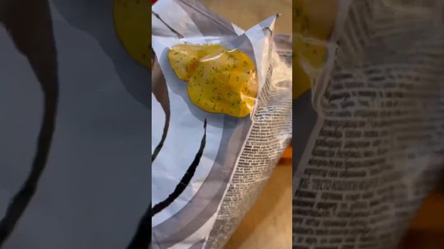 Внимание❗️❗️❗️ Не покупайте эти чипсы #lays