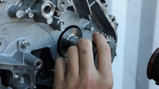 YD25 Timing Chain Install D40,D22,R51