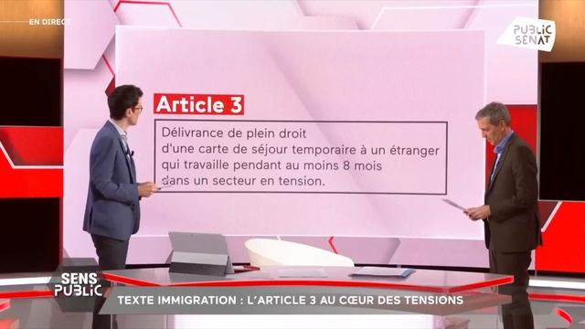 Immigration : Qu'attendent les Français de la future loi ? смотреть онлайн