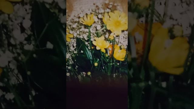 2-Благословение Есфири,Иудифи смотреть онлайн