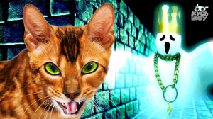 КОТИКИ VS ПРИВИДЕНИЯ - Кусь-шоу - Котики Хвост и Кусянтий