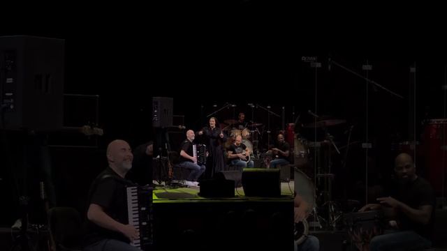 Елена Ваенга - Сербская смотреть онлайн