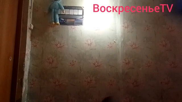 Премьера фильма Проклятый Мир+Новый логотип ВоскресеньеTV смотреть онлайн