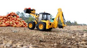 Перезревшие помидоры взорвались на берегу