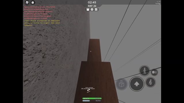 Getting the Sacred Chocolate badge in SCP 3008 [How to get] смотреть онлайн