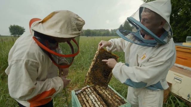 КАК ЖИВУТ САМЦЫ смотреть онлайн