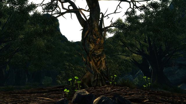 Secluded Ambience of Fallout 3 - Oasis with Harold смотреть онлайн