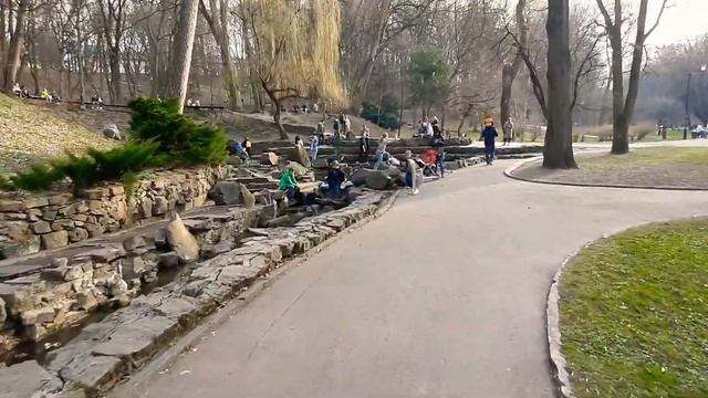 Стрийський парк (лебеді), частина 1. смотреть онлайн