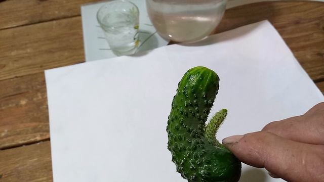 Огурец с членом 2 часть смотреть онлайн