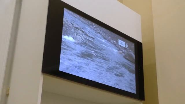 Встроенный телевизор 32 дюйма для кухни и других комнат AVS320K смотреть онлайн