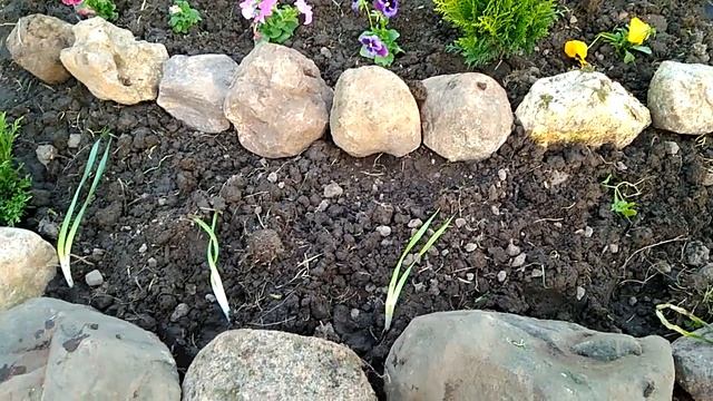 ландшафтный дизайн смотреть онлайн
