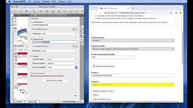 B1P4 - ПЦР, праймеры смотреть онлайн