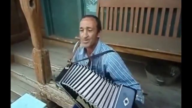 Белая береза Мароков тик ток tik tok смотреть онлайн