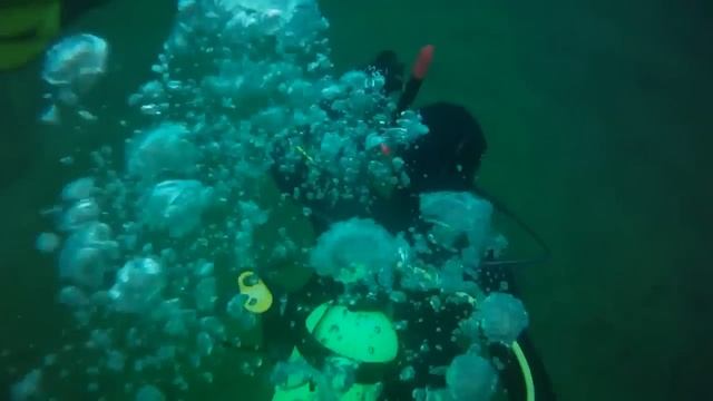 Scuba Diving with Contour HD смотреть онлайн