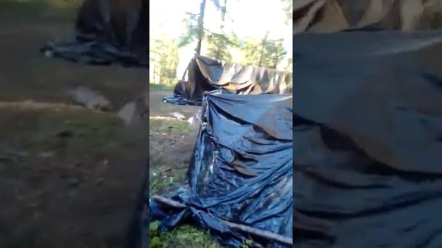 Отдых в Горном Алтае. смотреть онлайн