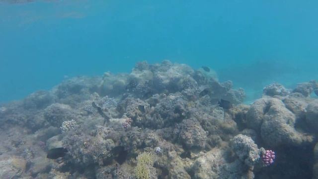 Hurghada Coral beach resort корал 2021.10.10 смотреть онлайн