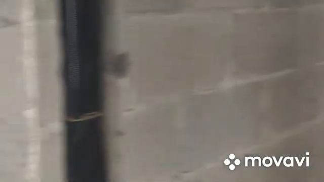 Экскурсия по ЖК СЕВЕРНЫЙ ВАЛЬС смотреть онлайн