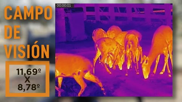 Monocular Hikmicro Lynx Pro LE15 económico y con 708 m de alcance | El Calden Outdoor смотреть онлайн