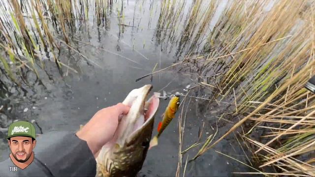 Lake Fishing For MASSIVE PIKE With Soft Lures | Awesome Pike Fishing Session