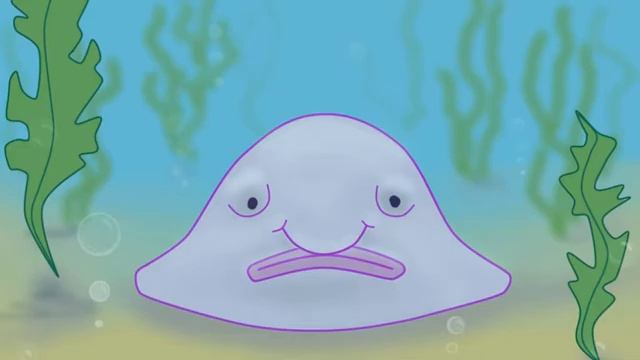 Морские обитатели для детей. 