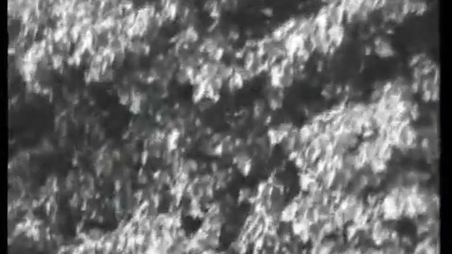 Методы содержания и разведения пчел. Часть 3 из 3 смотреть онлайн