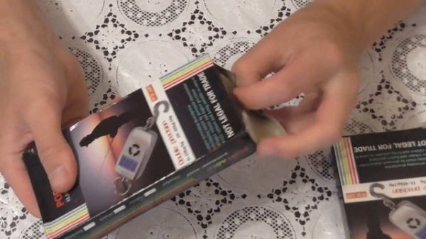 Portable electronic scale