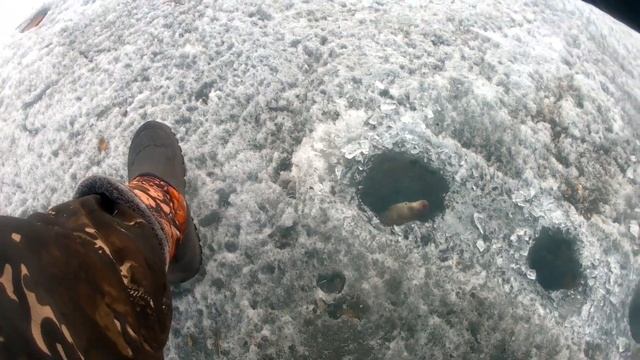 Карась Забайкальский! озеро Кенон! смотреть онлайн