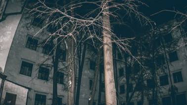 ➣ Amnesia: The Bunker