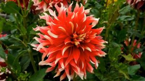 Это благодать