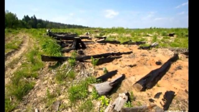 Мы губим свой дом смотреть онлайн