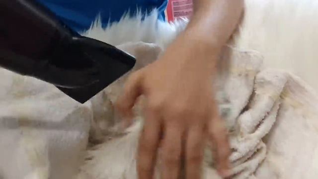 Kitten enjoys first bath смотреть онлайн