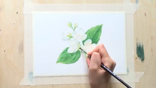 Акварельная ботаническая иллюстрация / Watercolor botanical painting смотреть онлайн