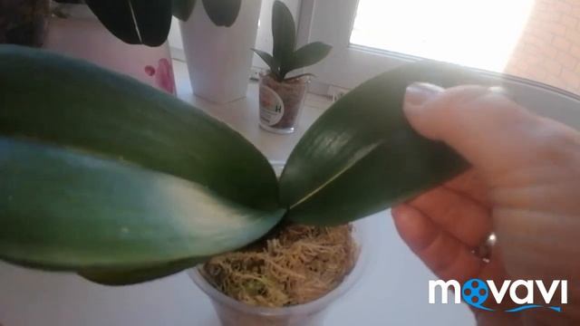 #У меня 3 новинки!#Одна из них?.10.05.22 смотреть онлайн