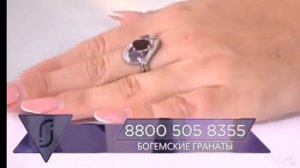 Начало программы «Ювелирия» (Пёс и Ко, 09.11.2020, 09:00 МСК)