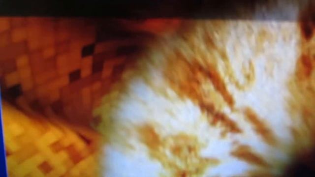 Видеокарта Radeon R9 390 Nitro with Back Plate 8192MB/512bit смотреть онлайн