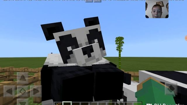 ТОП 3 ФАКТА ПРО ПАНД В МАЙНКРАФТ!