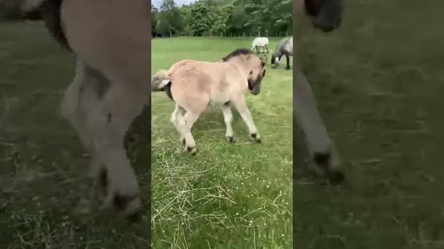Ты от меня не отделаешься смотреть онлайн