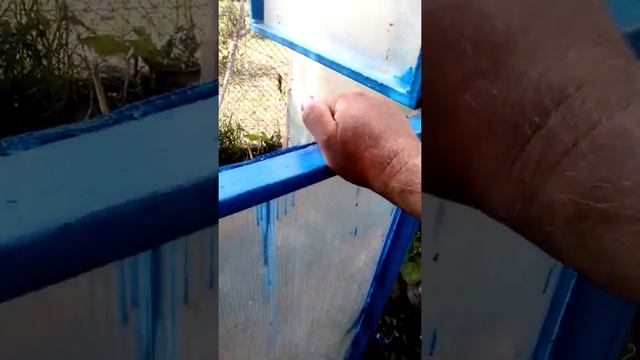 #zoom Как выращивать Арбузы в теплице смотреть онлайн