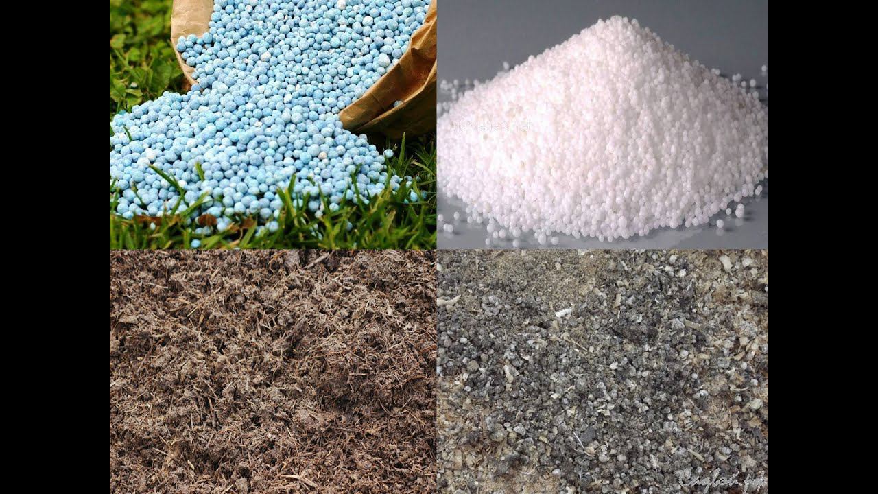 КАКИЕ УДОБРЕНИЯ ЛУЧШЕ МИНЕРАЛЬНЫЕ ИЛИ ОРГАНИЧЕСКИЕ . ВСЯ ПРАВДА ОБ УДОБРЕНИЯХ. смотреть онлайн