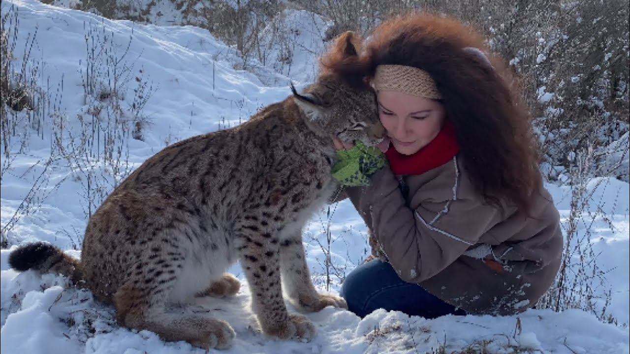 Рысь Марс провожает 2020 год!