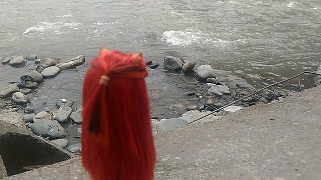 Мы едем на шашлыки/stop motion олень смотреть онлайн