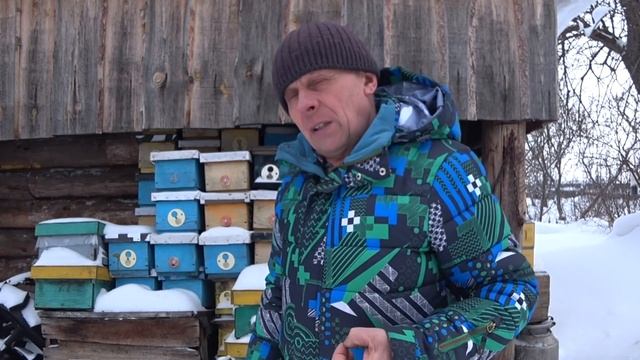 ПЧЕЛОВОДНАЯ ПРАКТИКА, ОТВЕТЫ НА КОММЕНТАРИИ И ВОПРОСЫ ПОДПИСЧИКАМ. Часть 1. смотреть онлайн