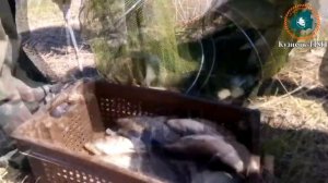 Рыбалка в Астрахани (Хутор Сазаний Угол 2018г)