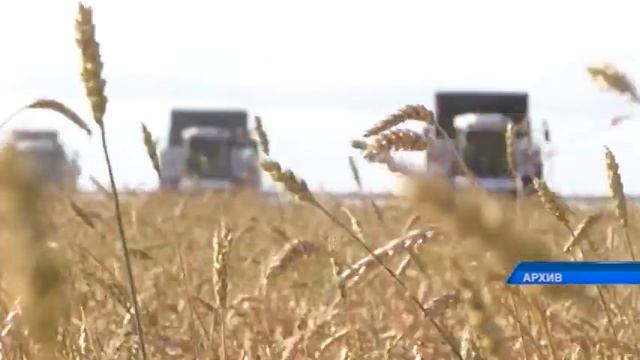 Более тысячи фермеров получили льготное финансирование в прошлом году